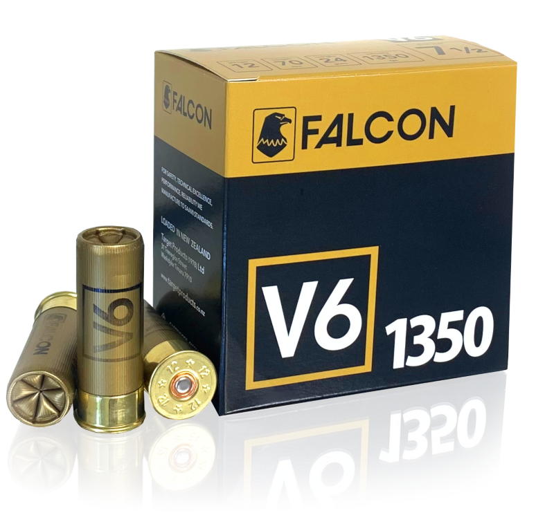 V6 4